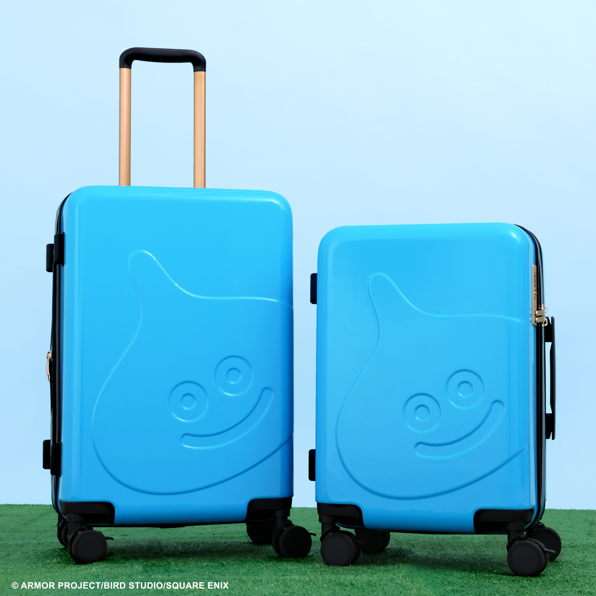 ※写真はSサイズ