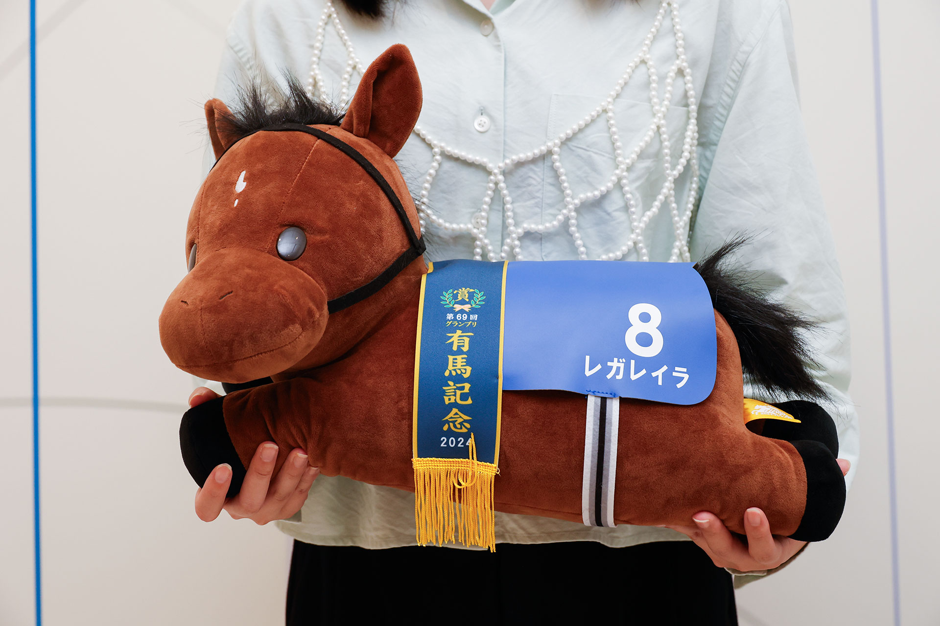 なかなかの大きさだ