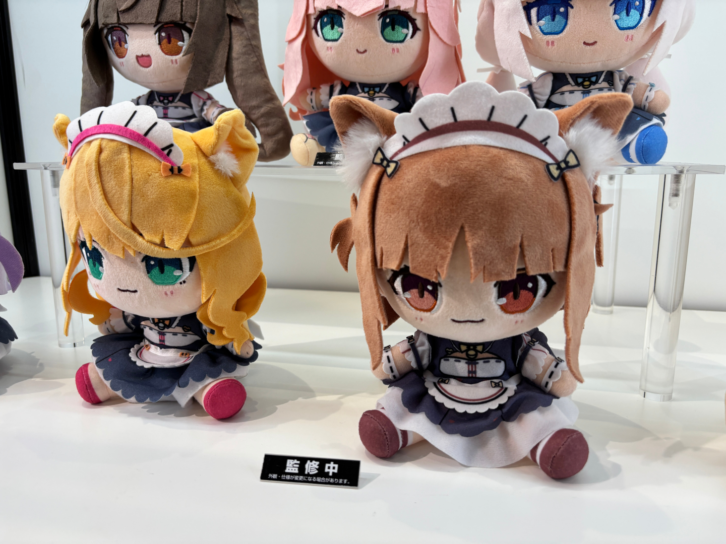 「ちょこぷに ぬいぐるみ」が展示。販売中のショコラ、バニラに加えアズキたちが仲間入りする予定