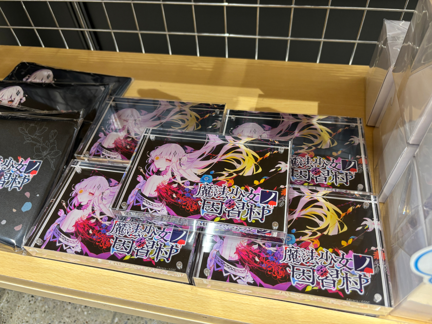 アクリルマグネットフレーム 価格：6,050円