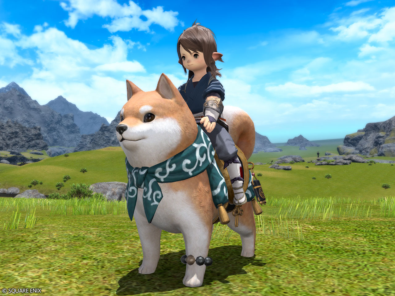 大柴犬マウント：9,000円