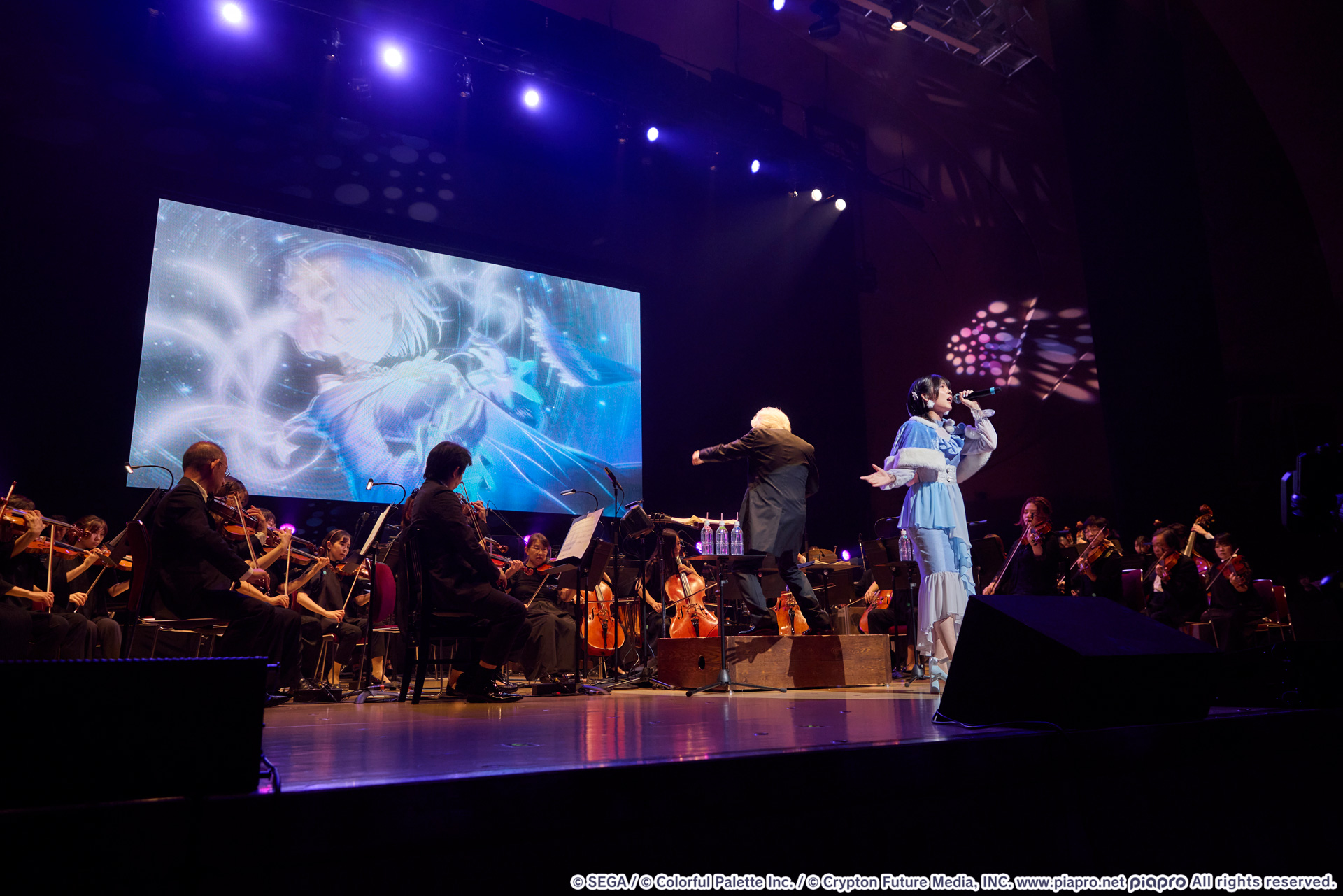 吉岡茉祐さんによる「Polar Star」