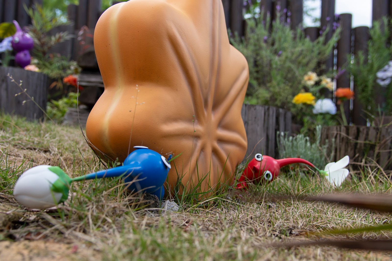 フラワーウォール