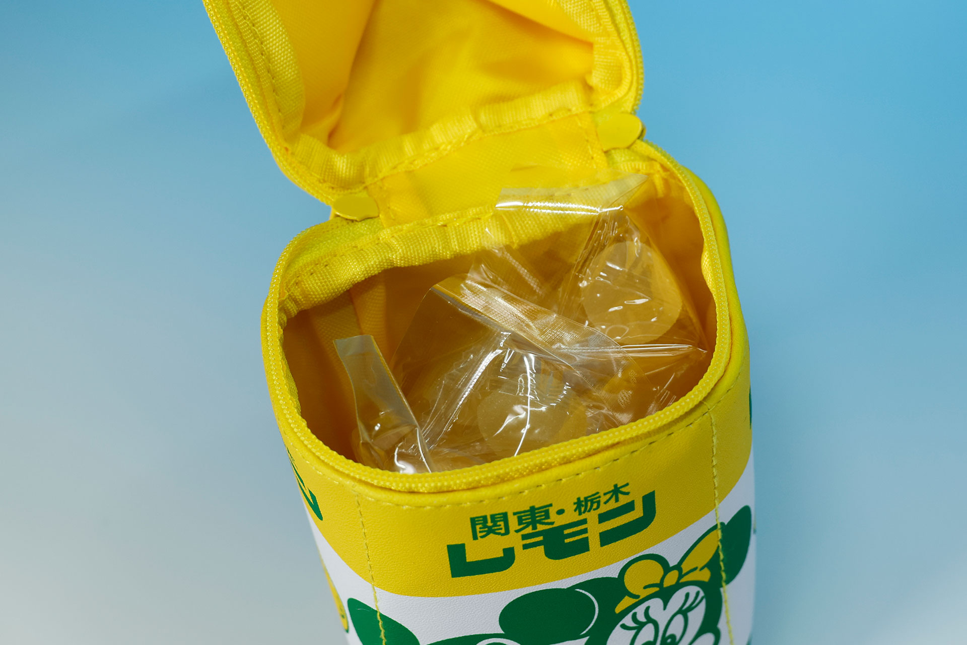 ケースを開けたところ