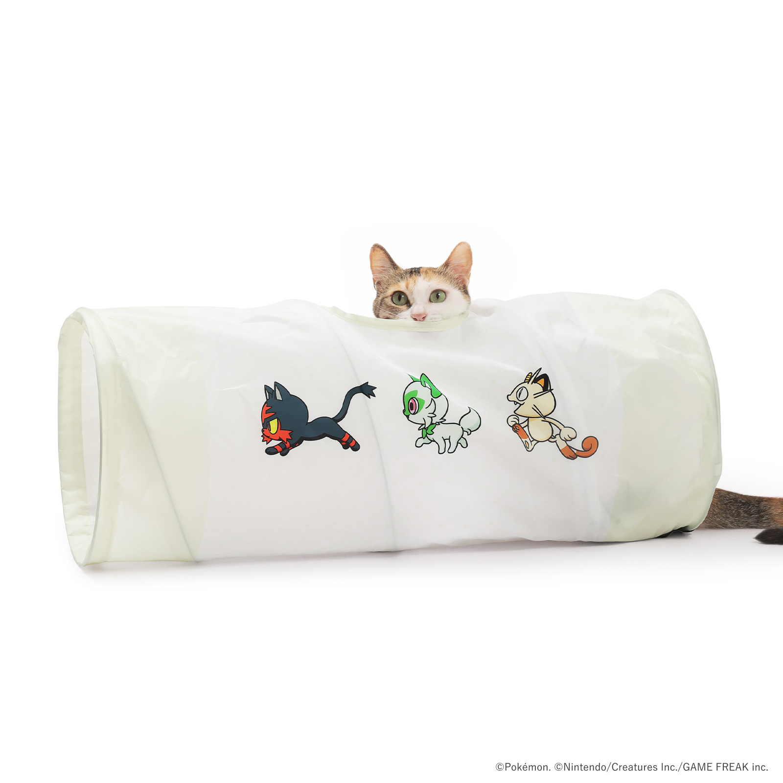 キャットトンネル：2,728円