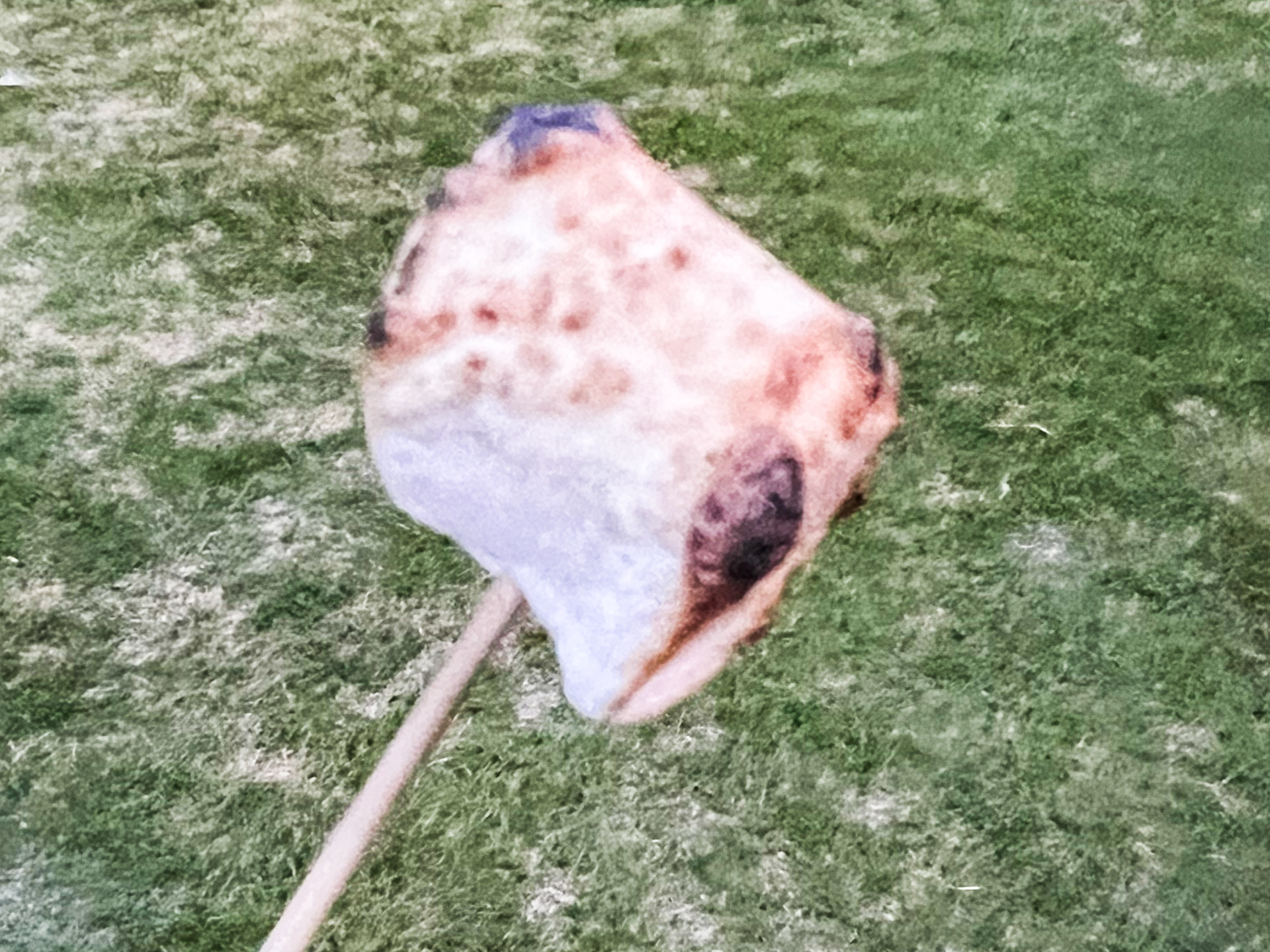 自分で焼いたマシュマロ。多少の焦げも旅の思い出である