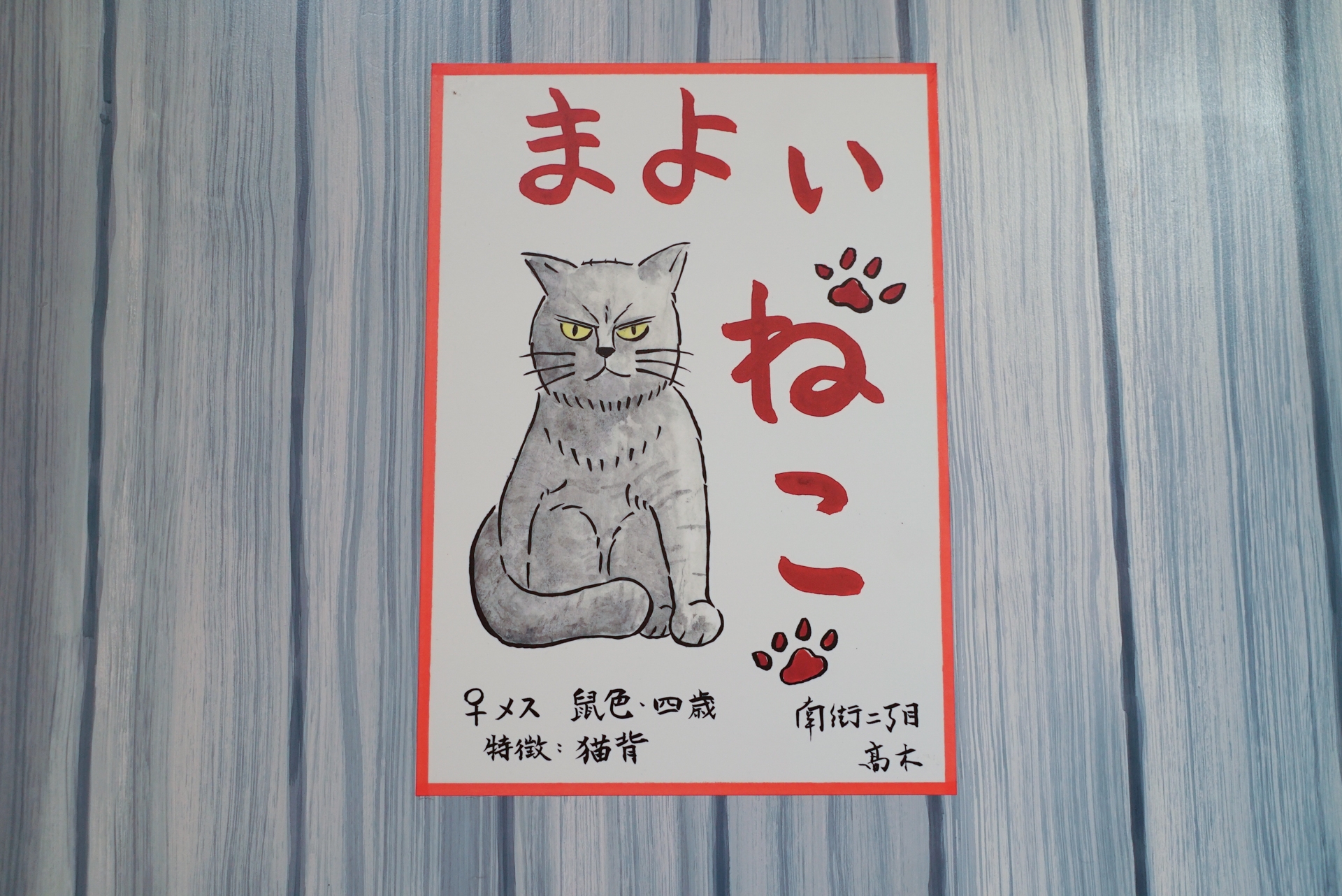 「まよいねこ　特徴：猫背」。この情報で見つかるのだろうか