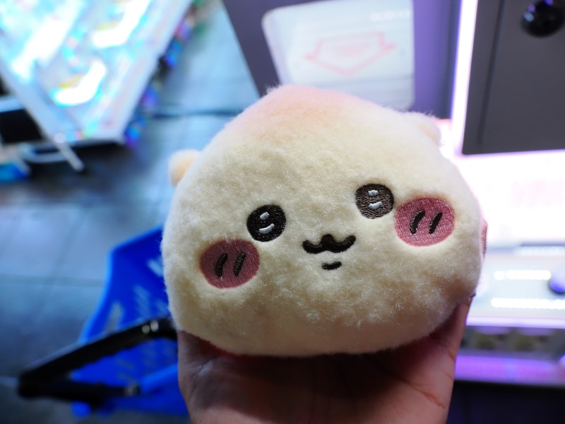 こちらもアシストによってゲット。ありがたいことです