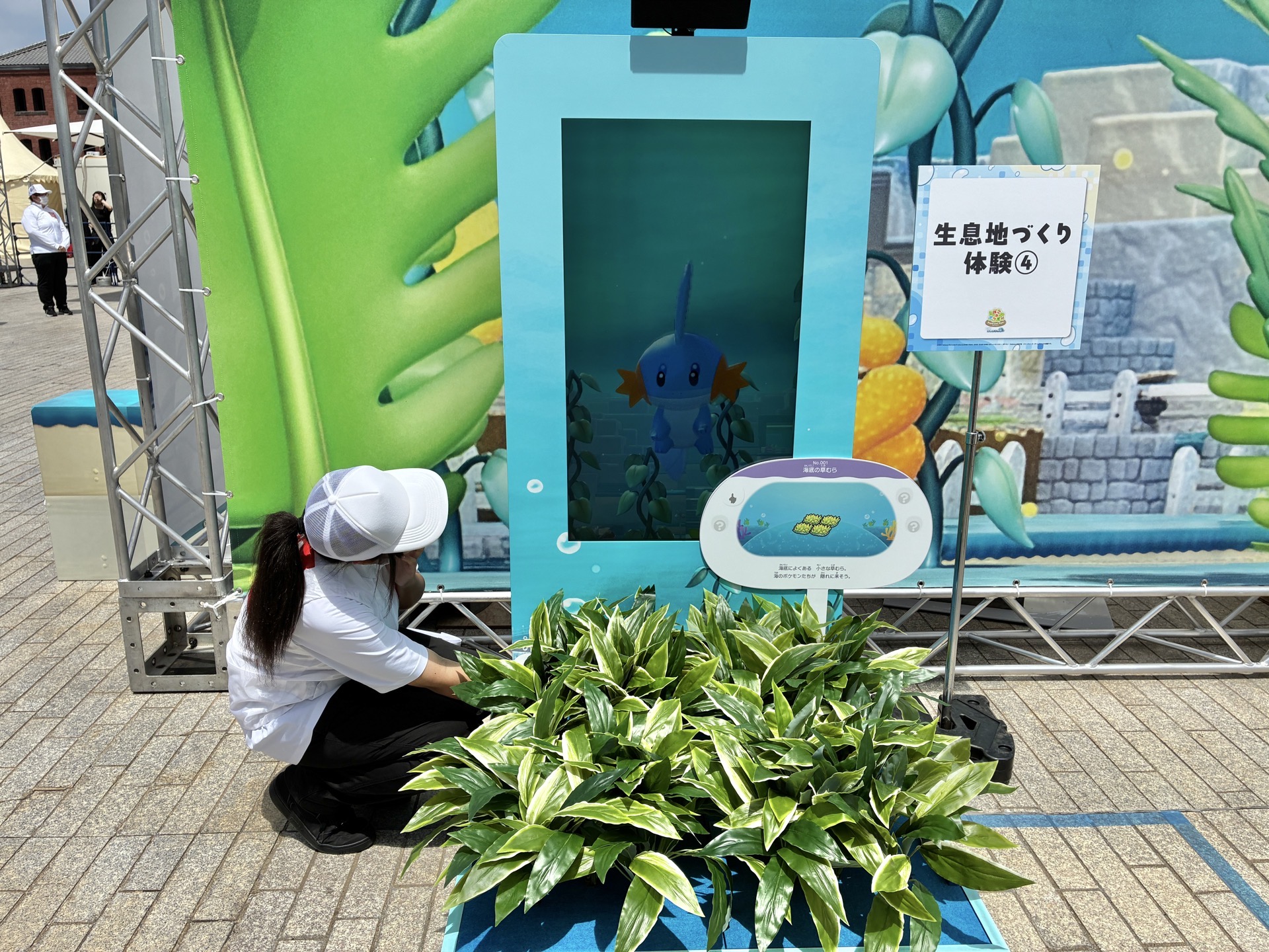 ミズゴロウ