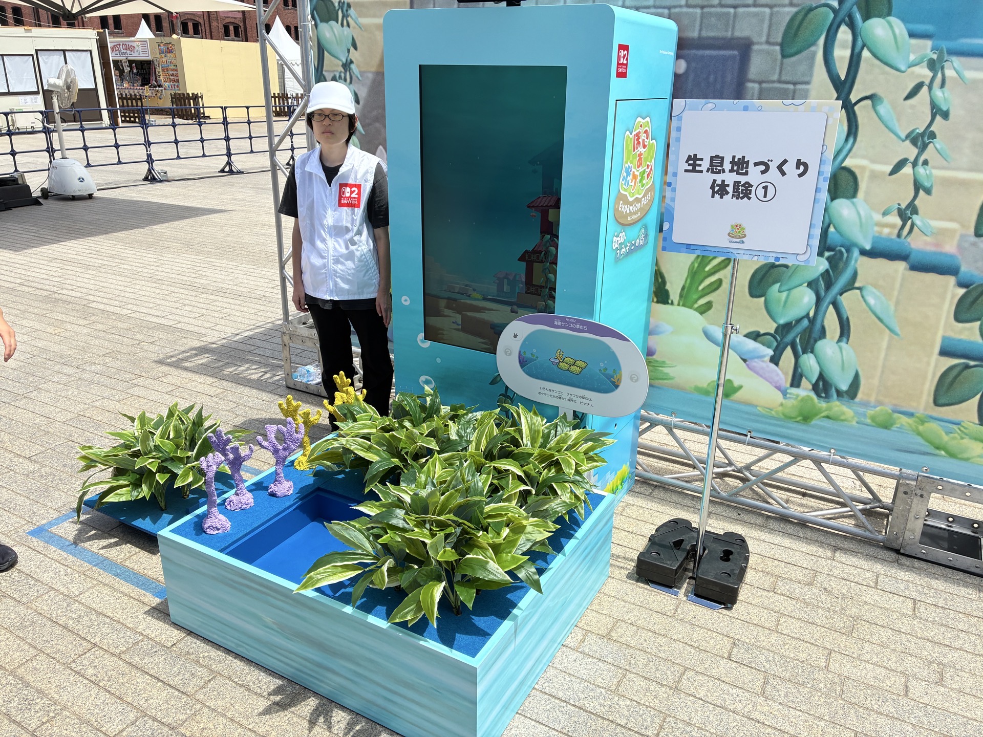 草を置くと、モニターからサニーゴが登場した