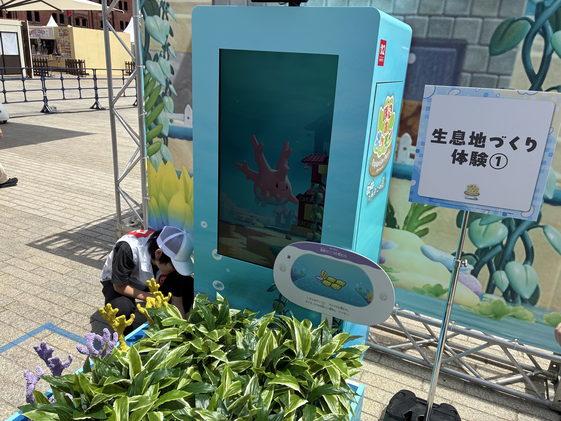 草を置くと、モニターからサニーゴが登場した