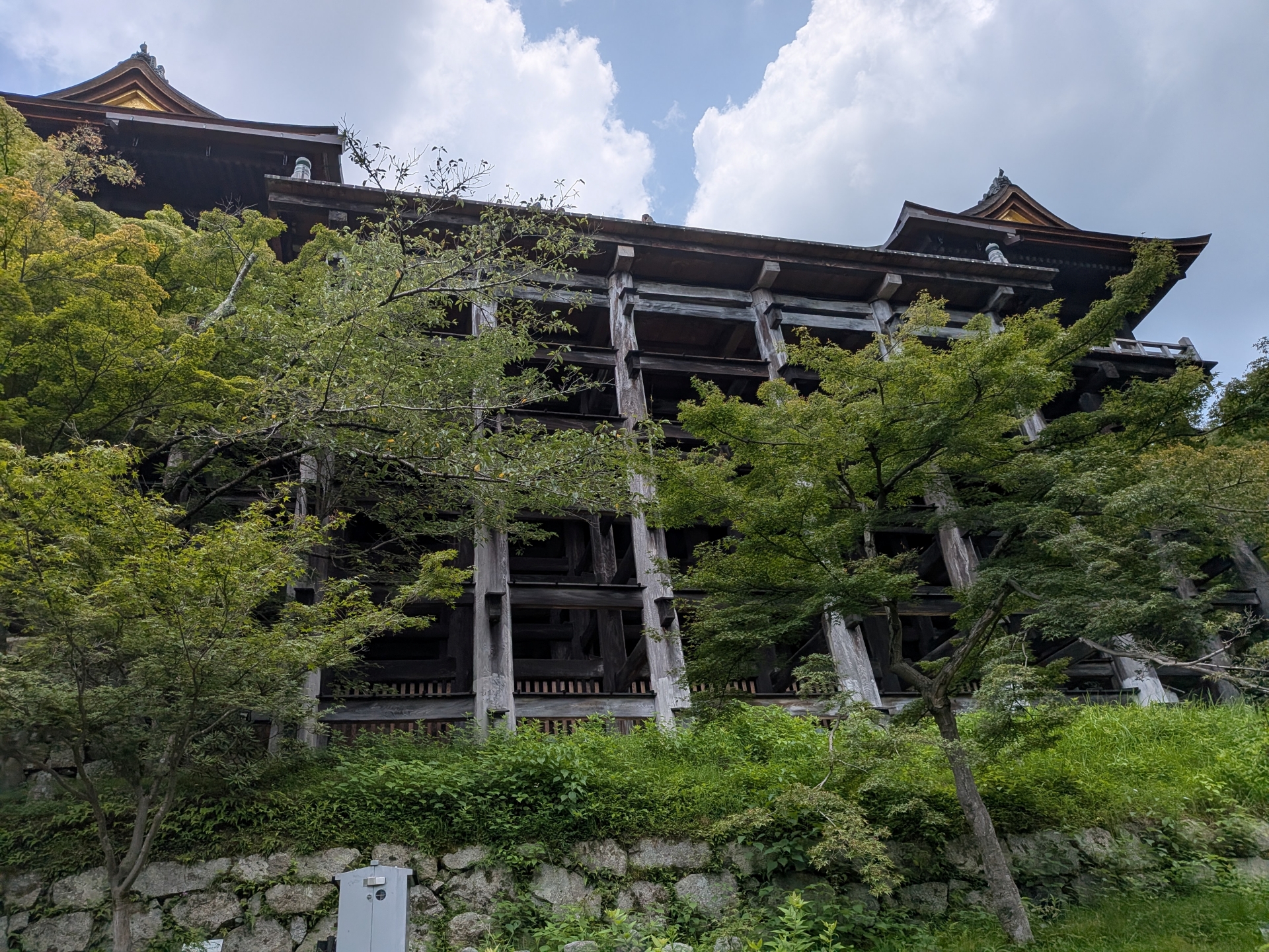清水の舞台を下から見た様子。かなり高い