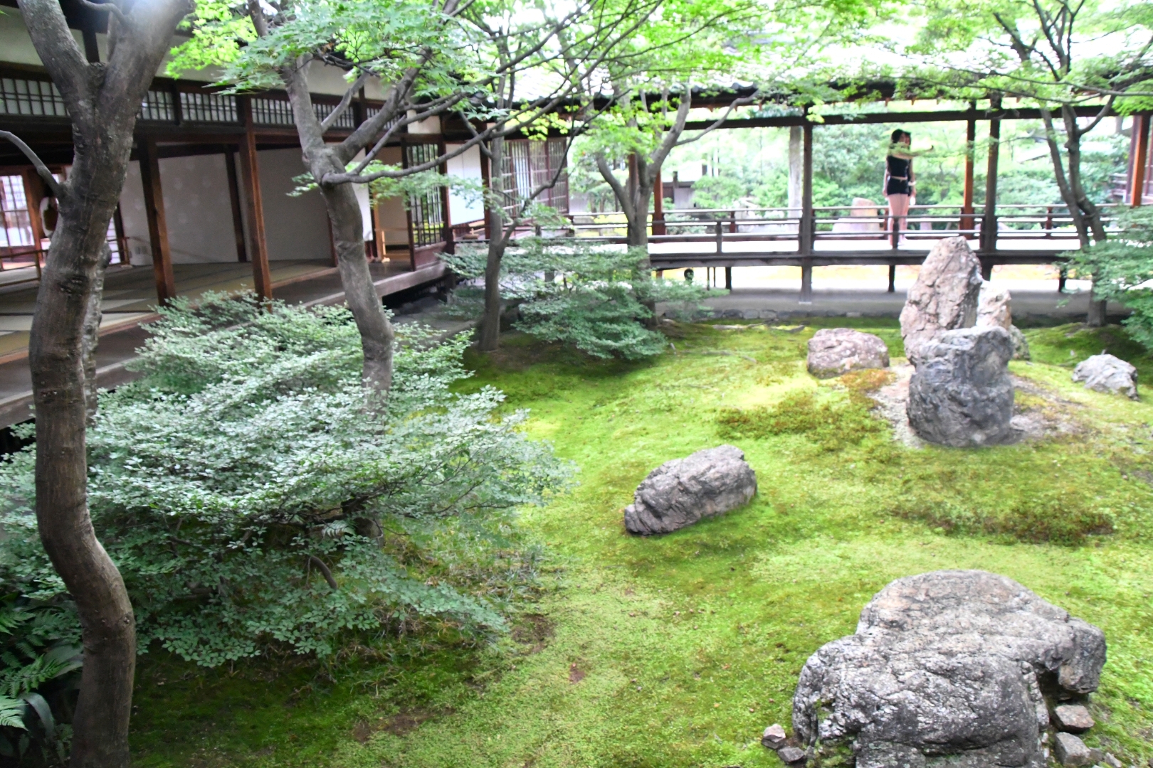 庭園の美しさも建仁寺の特徴である