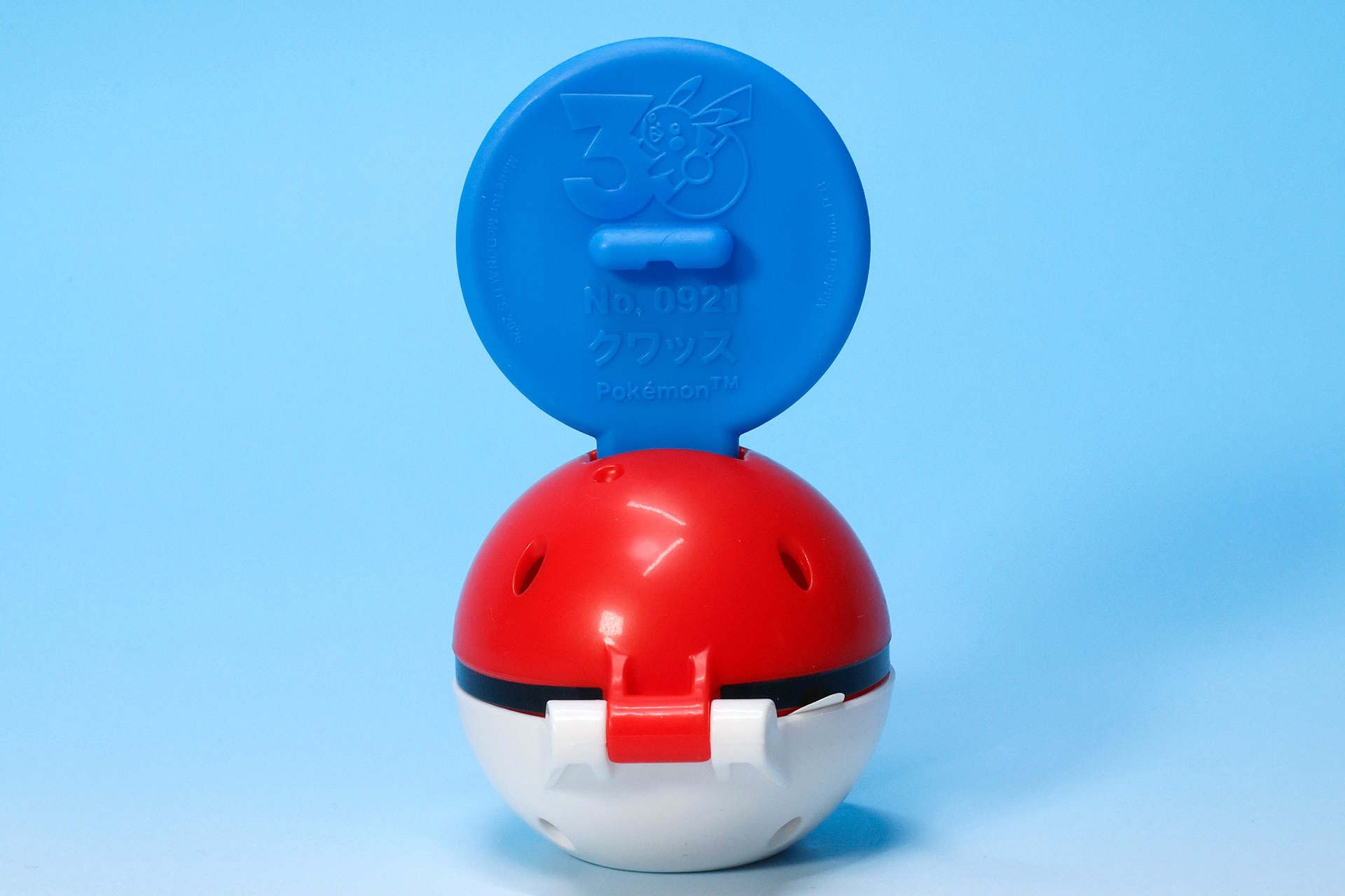 クワッスのポケモンパネルの裏面
