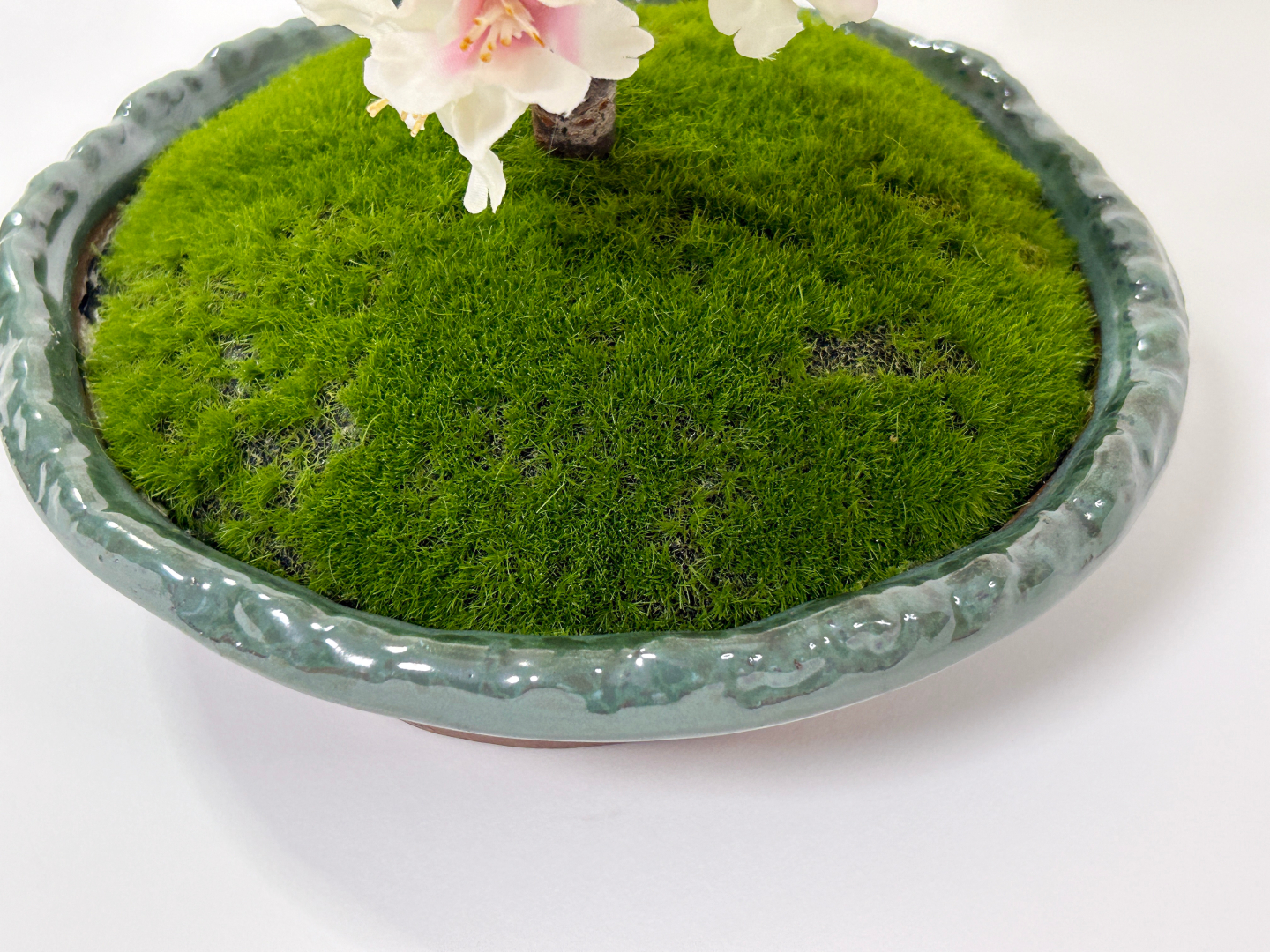 桜盆栽は、細部まで非常に丁寧に作られている。根元の芝も、遠目では本物に見えるほど。陶器の鉢が使われている