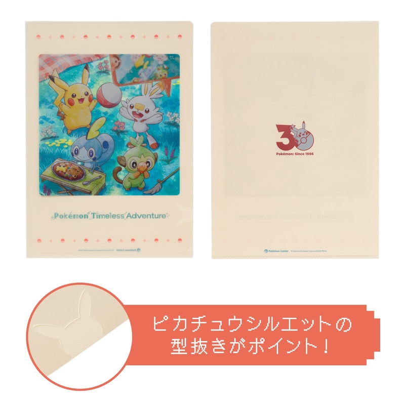 A4クリアファイル Pokémon Timeless Adventure ガラル 495円