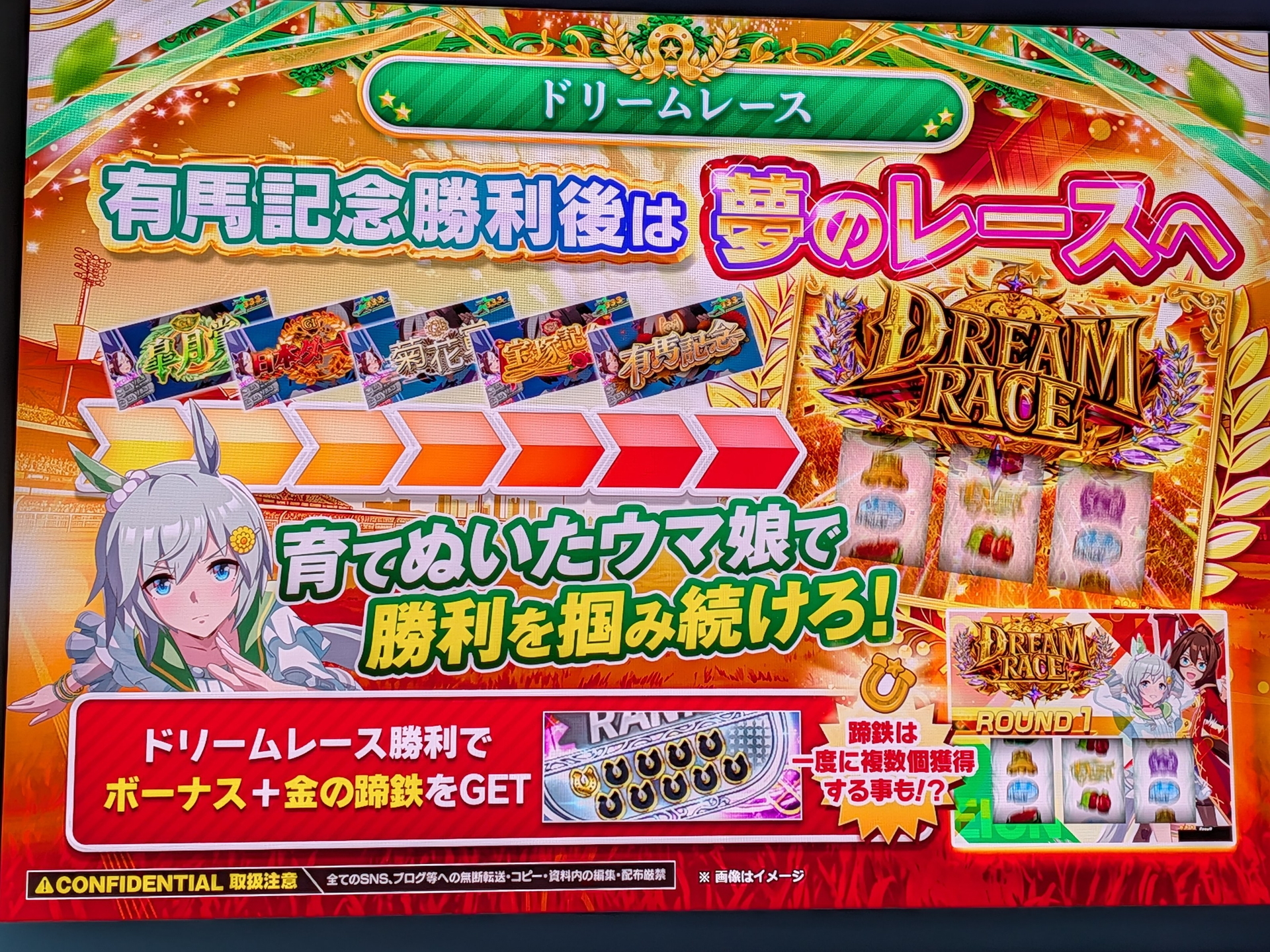 レースで5勝するとドリームレースに出走できる