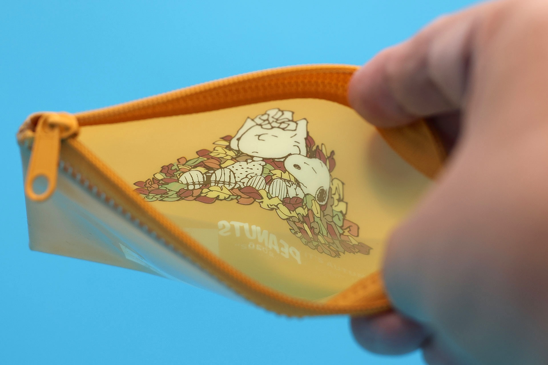 ポーチの内部には透明な仕切りが設けられている
