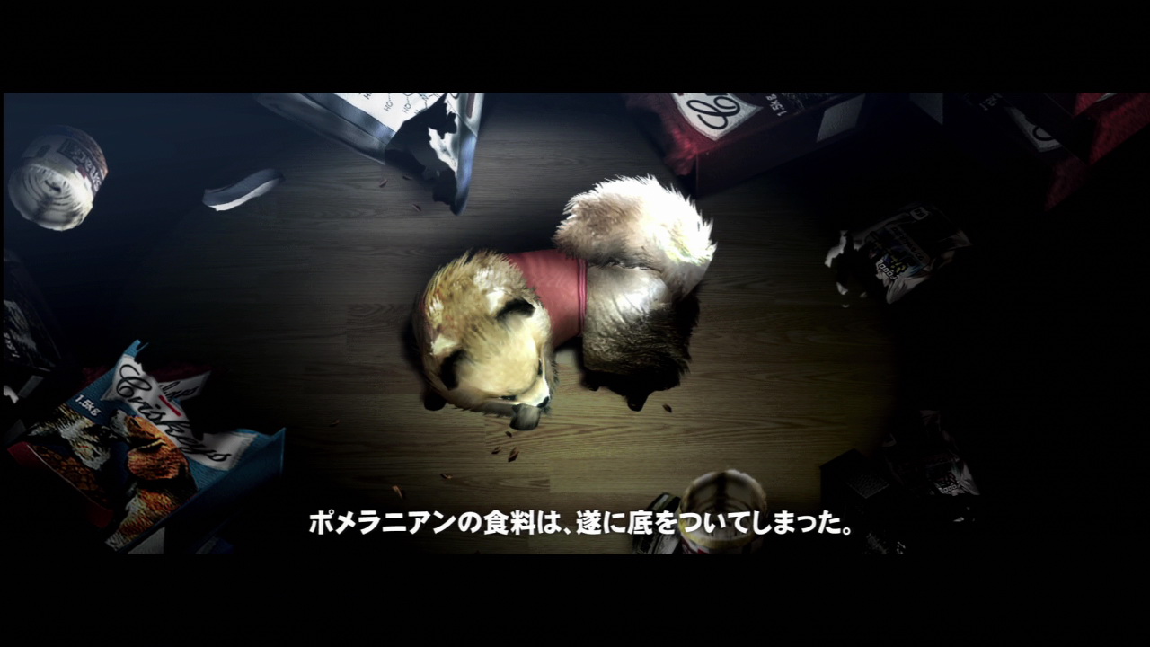 突然飼い主がいなくなった中、なんとか食いつなぎ細々と生きていたが、食料がついに底をつき自立への道を歩み始める、可愛らしいポメラニアン