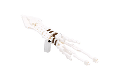 カワダ Nanoblock 海の生き物シリーズ 8種類を7月12日発売 Game Watch