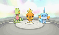 poke02_s.png