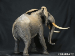海洋堂、「メガソフビアドバンス アフリカゾウ」を発売 - GAME Watch