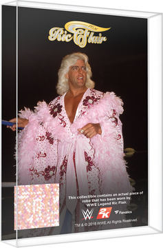 WWE 2K19」10月日本発売決定 - GAME Watch