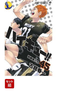 ハイキュー!! 全45巻セット +10thクロニクル ＋劇場版パンフレット ハイキュー漫画全巻1-45巻セット劇場版パンフレット付き