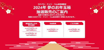 任天堂 - 新品　ヨドバシ2020夢のお年玉箱　ニンテンドーSwitchの夢　ソフト4本付！ ヨドバシ・ドット・コムの「夢のお年玉箱」にSwitch関連商品が