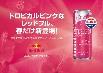 Red Bull - 『ピエール』2ケース48缶！紫のレッドブル　セール価格 レッドブル・パープルエディション 250ml 1セット（48缶
