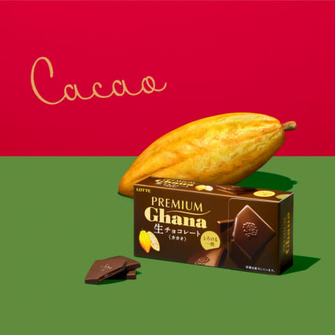 LOTTE PREMIUM Ghana プレミアムガーナ24箱 まるで専門店のように仕立てたプレミアムガーナチョコレート5品
