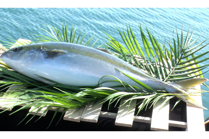 オーガニックはまち