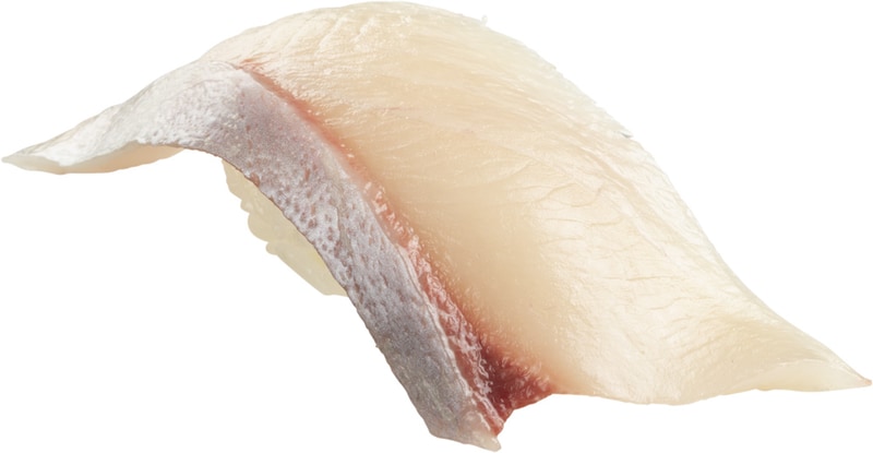 活〆とろひらまさ（3月9日～）