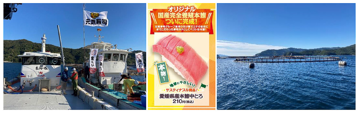 元気寿司オリジナルの国産完全養殖本鮪が完成