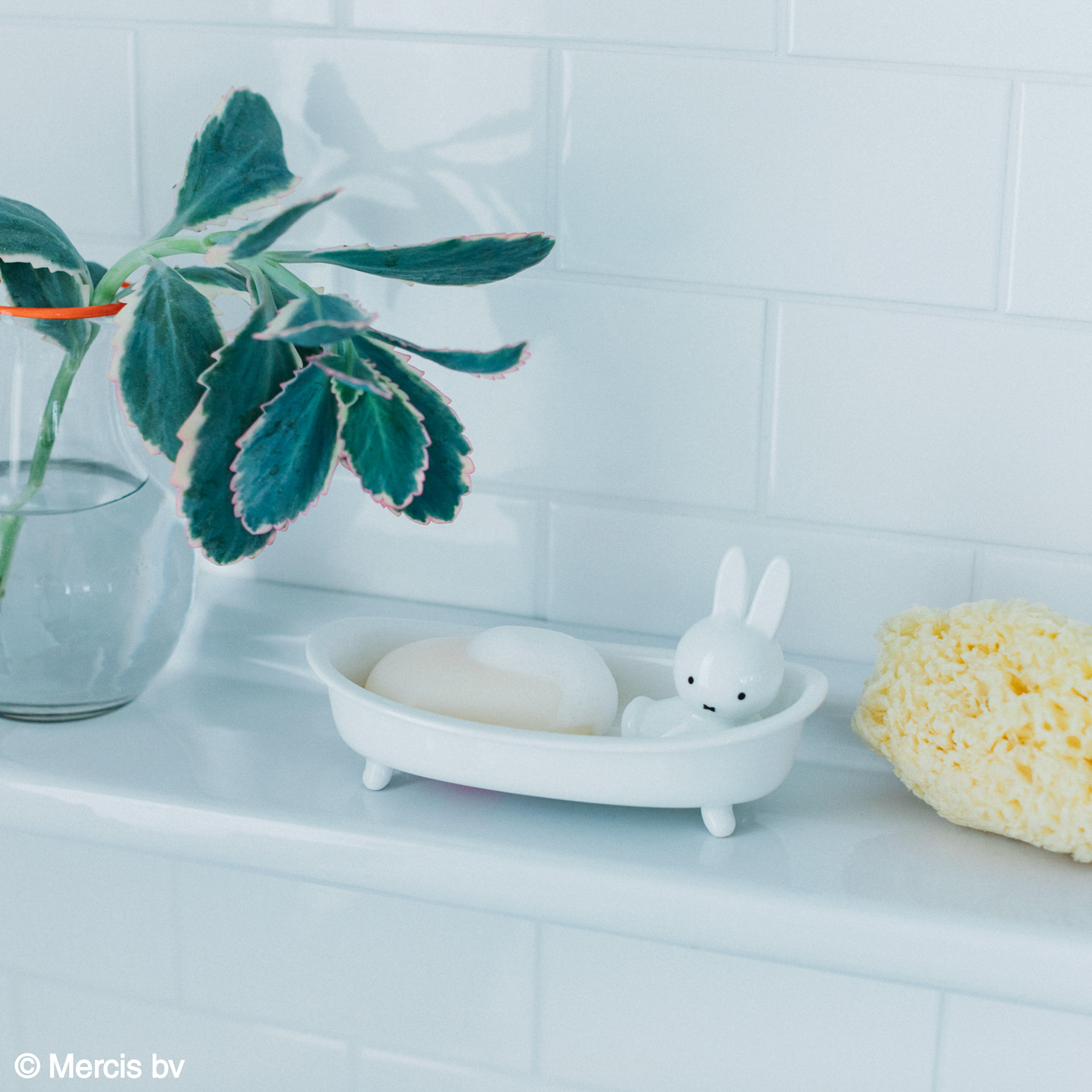 「ソープディッシュ」（2200円）