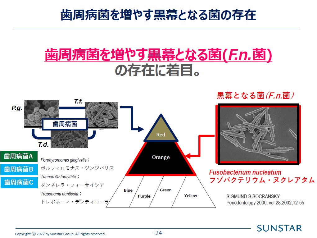 歯周病菌を増やすF.n.菌に着目