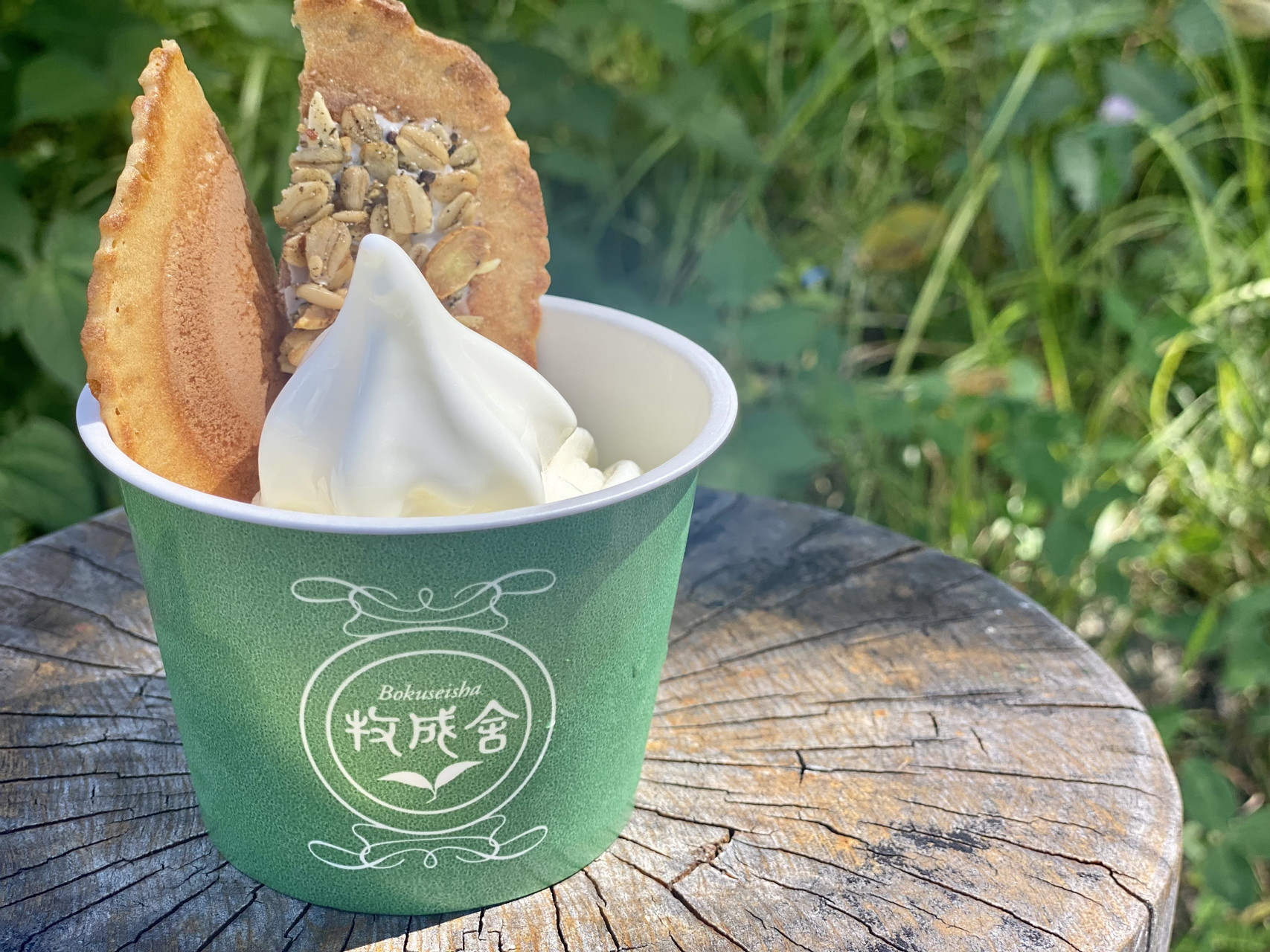 ＜飛騨の牛乳屋・牧成舎＞ジャージーソフトクリーム 井之廣 せんべいトッピング