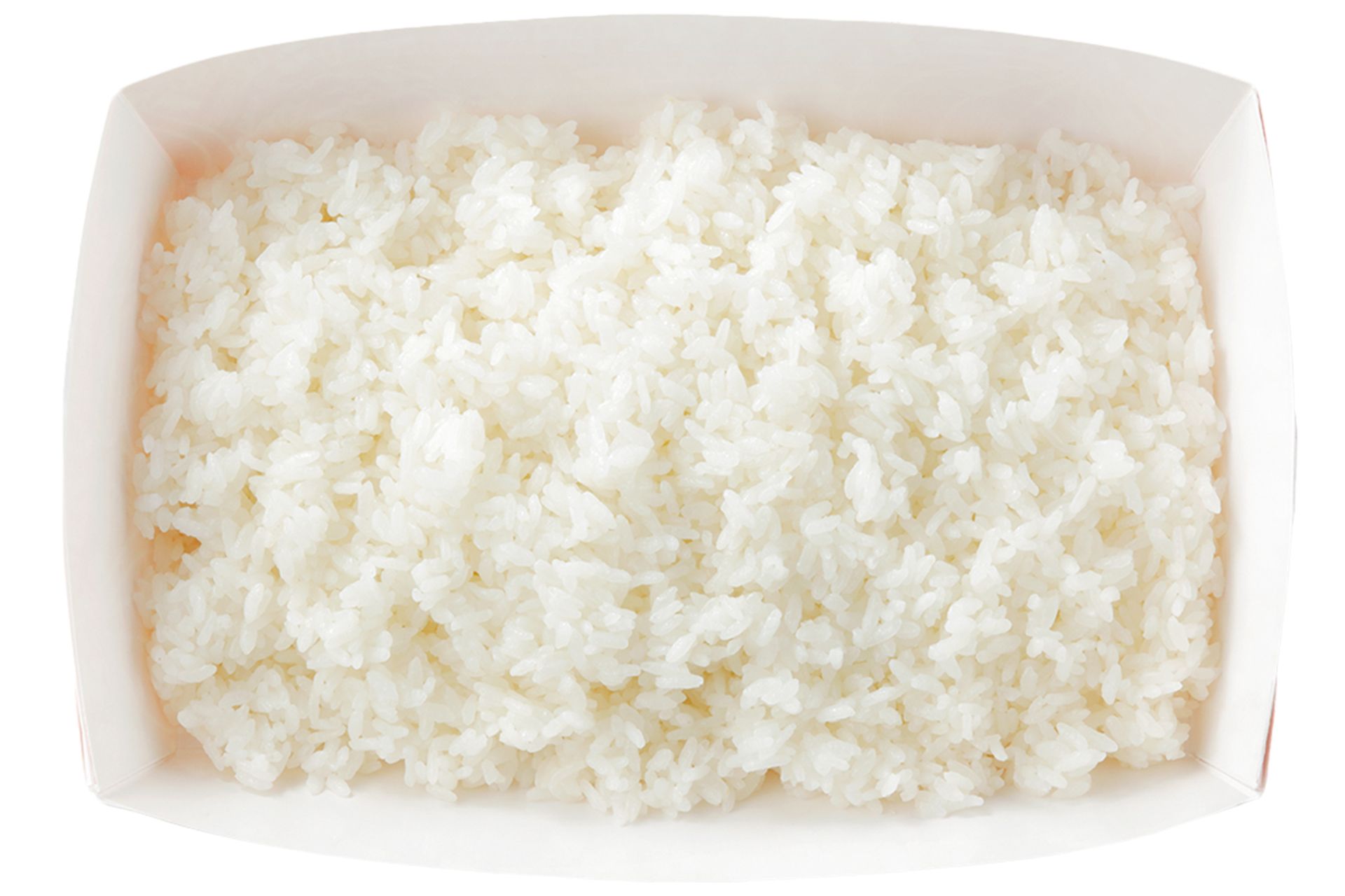 ガリバーライス