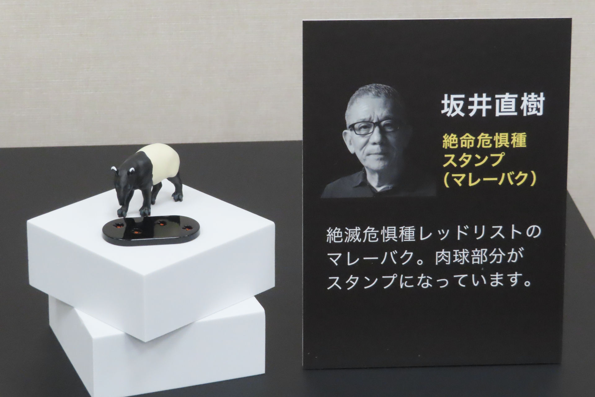 坂井直樹「絶滅危惧種スタンプ（マレーバク）」