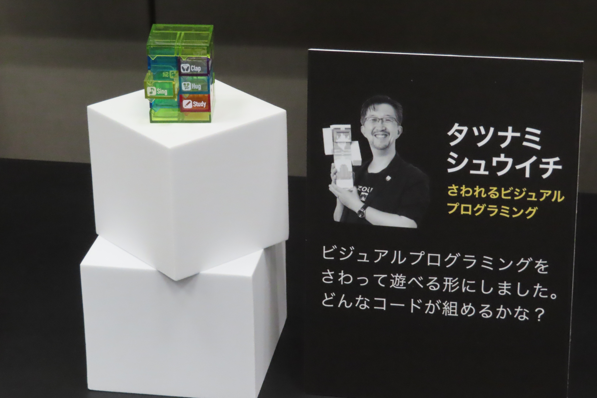 タツナミシュウイチ「さわれるビジュアルプログラミング」