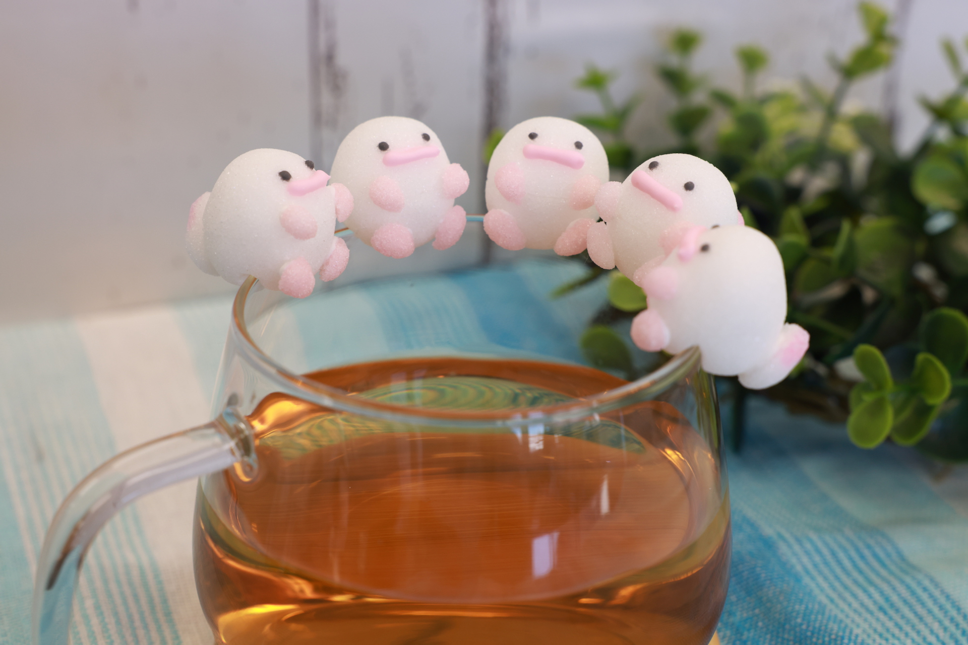 オオサンショウウオクラフトシュガー