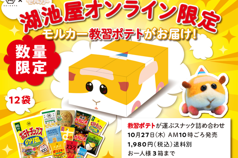 湖池屋×「PUI PUI モルカー」DS編 教習ポテトが運ぶスナック詰め合わせ