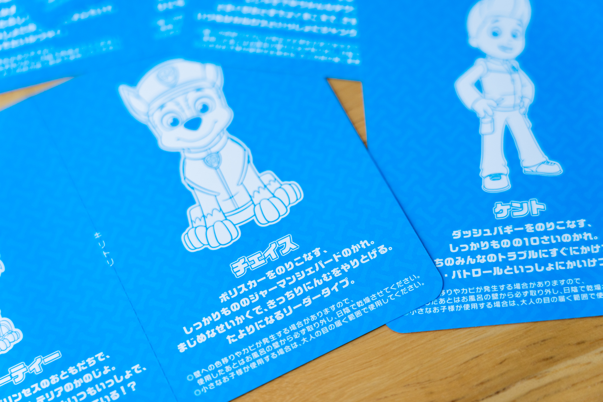 裏面にはキャラクター達の性格や特徴が書かれている。例えばチェイスは真面目な性格で頼りになるリーダータイプ