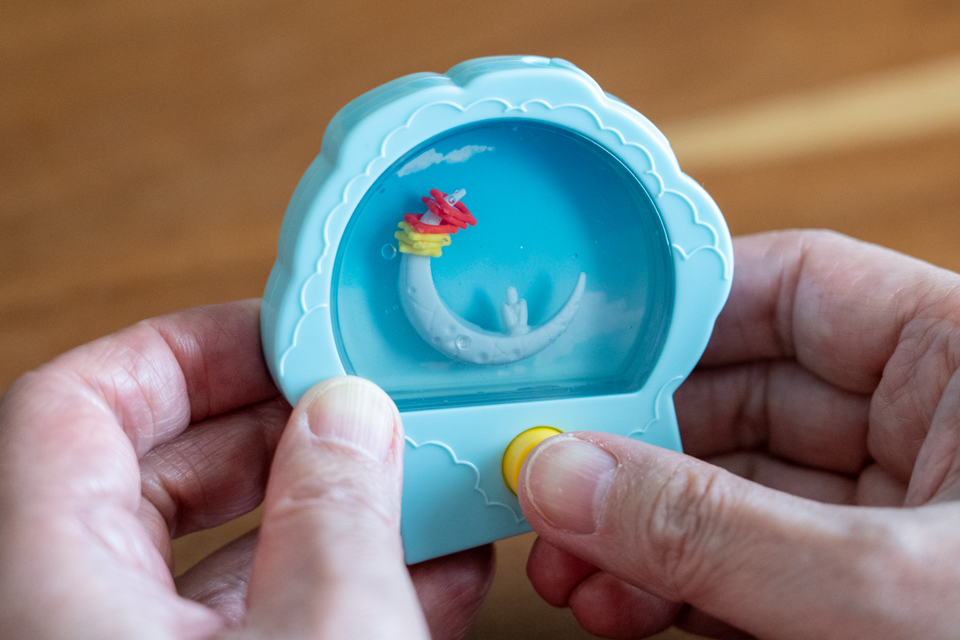 全部のリングをパラダピアにひっかけることができた！