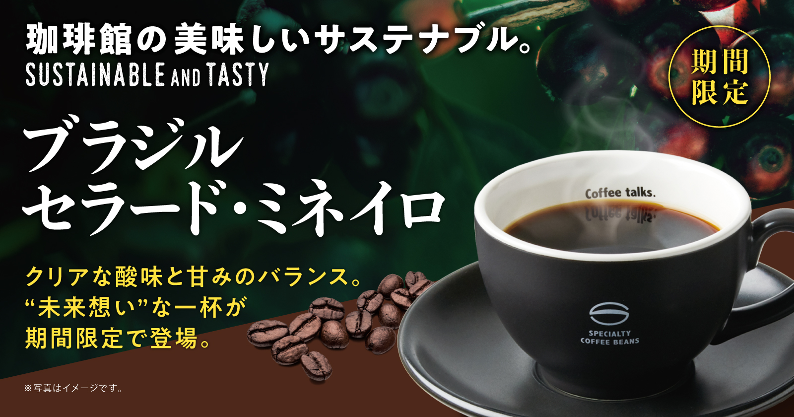 珈琲館/珈琲館 蔵「ブラジル セラード・ミネイロ」