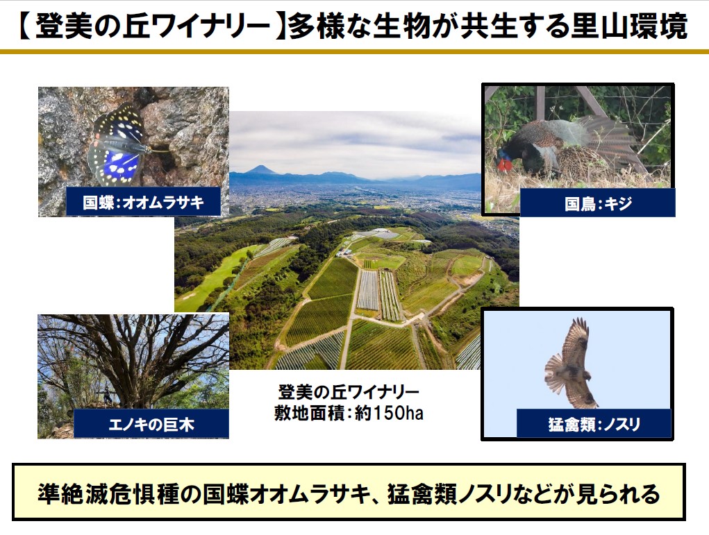生物多様性の維持を行なう登美の丘ワイナリー