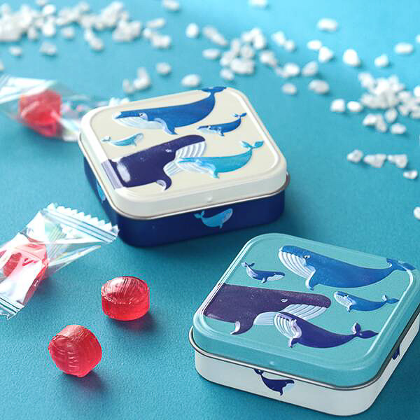 カルディ、エンボス加工されたクジラのミニ缶が発売 - グルメ Watch