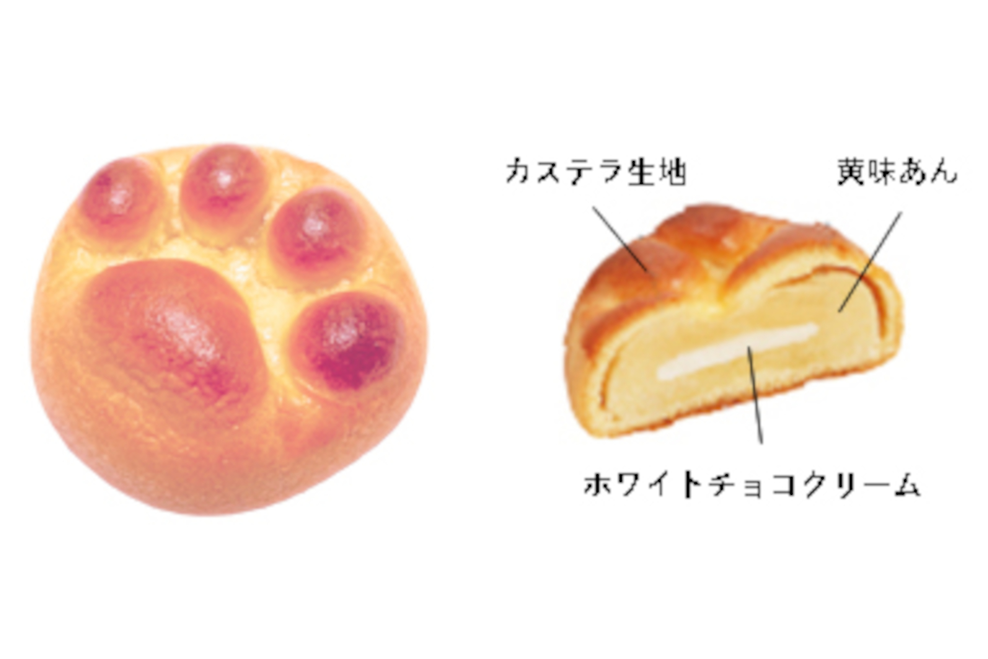 肉球の形がかわいらしい焼き菓子。中には黄味あんにホワイトチョコクリームが入っている