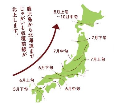 新じゃがの収穫は初夏に九州から始まり、徐々に「じゃがいも収穫前線」が北上していく
