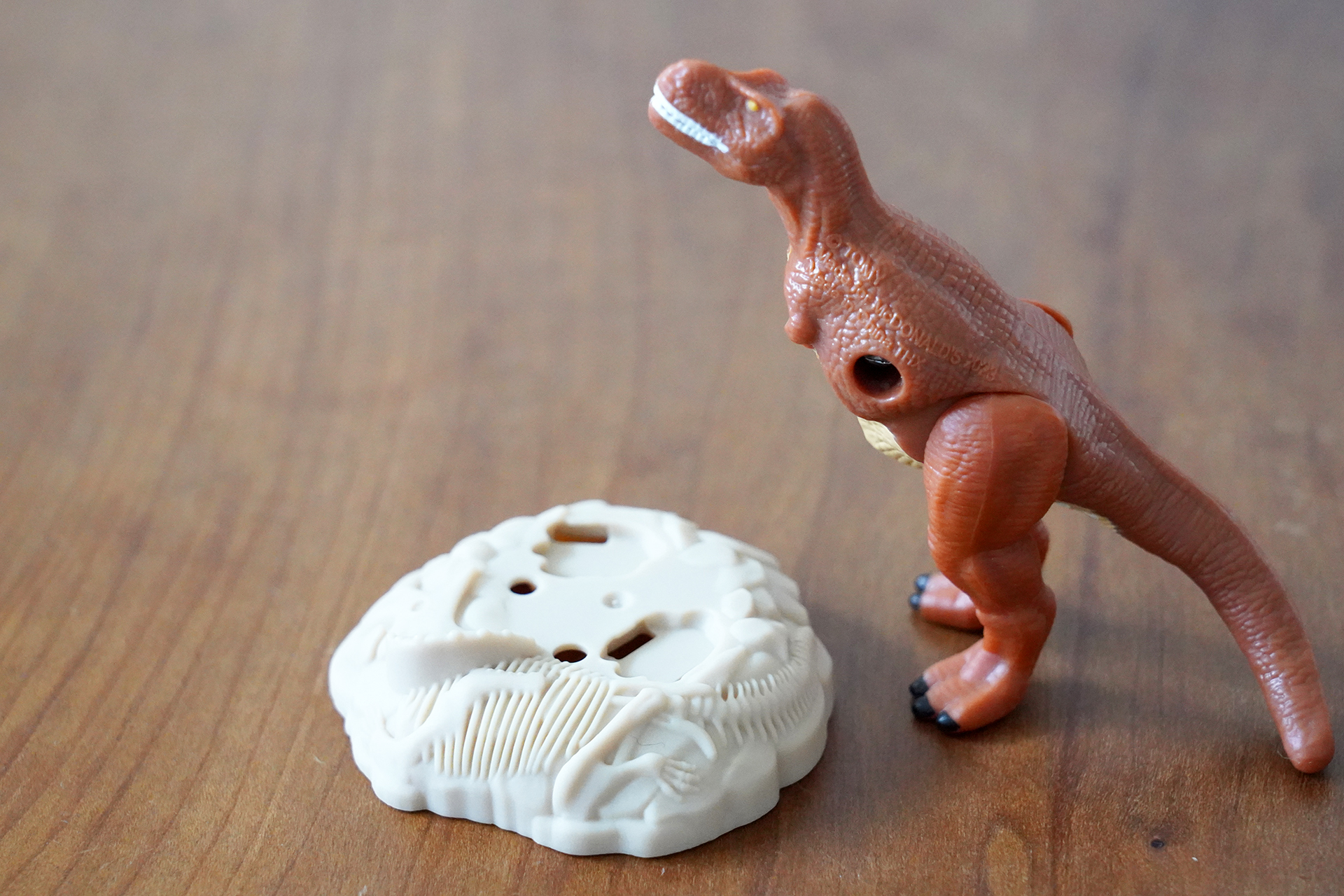 付属パーツの岩はトリケラトプスの化石をイメージ